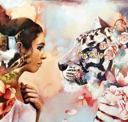 512549650_24209132088698919_2389288036487590826_n